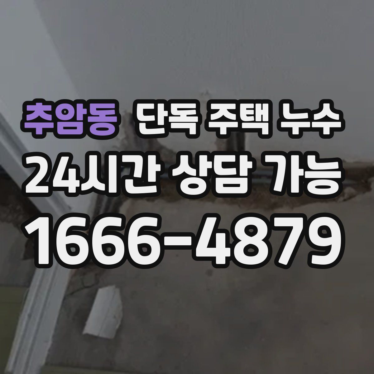 추암동 단독 주택 누수