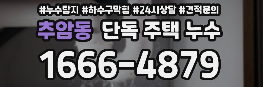 추암동 단독 주택 누수