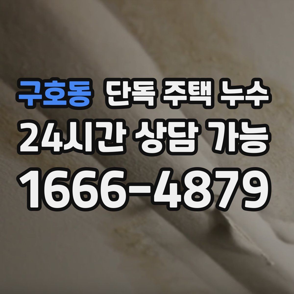 구호동 단독 주택 누수 외벽 실금이 늘어난 듯 보이면 점검