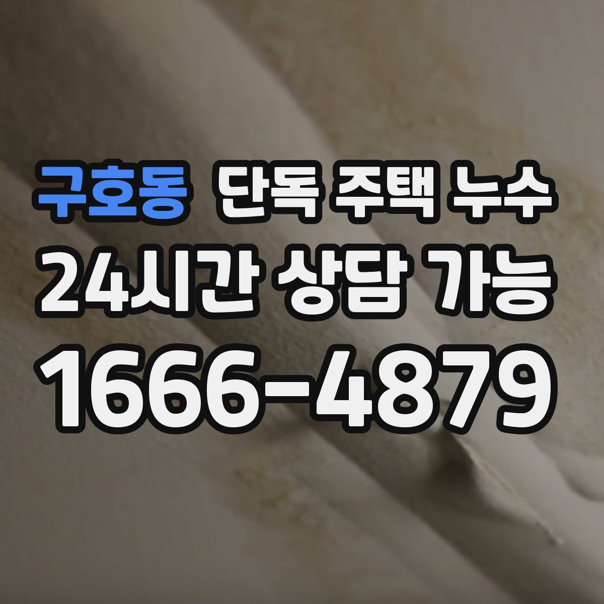 구호동 단독 주택 누수