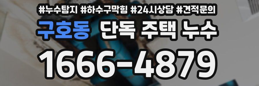 구호동 단독 주택 누수