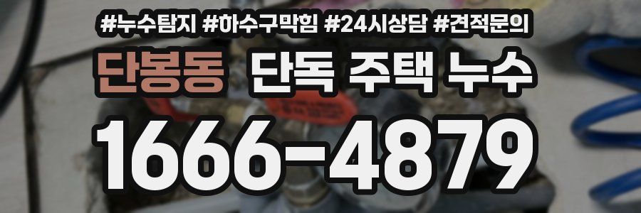 단봉동 단독 주택 누수