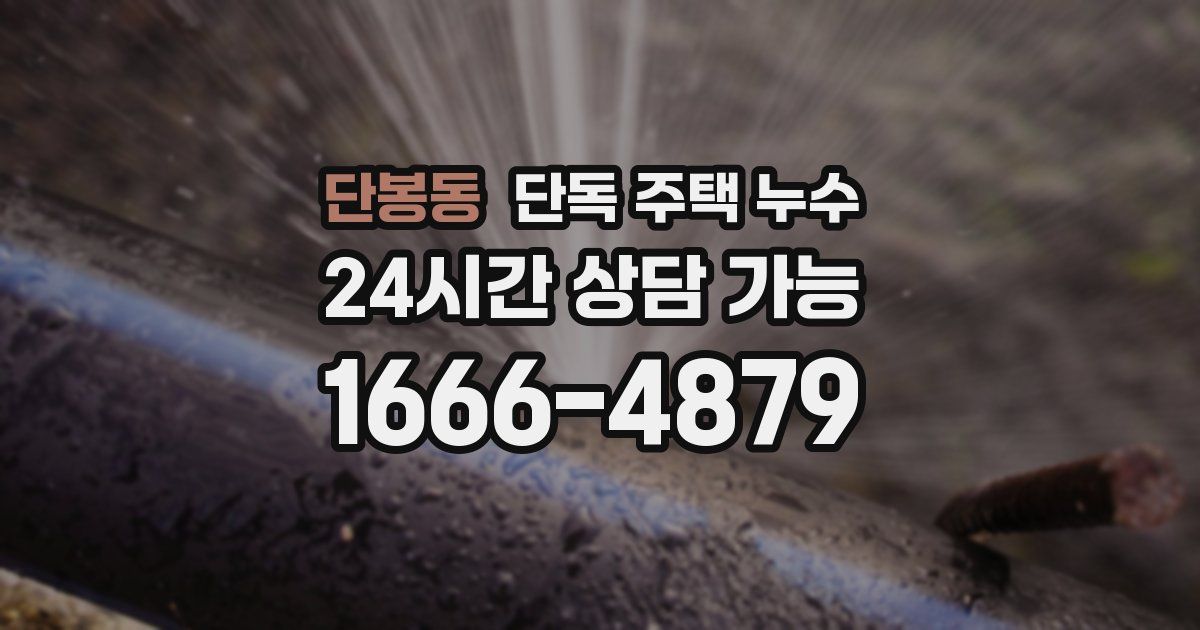 단봉동 단독 주택 누수