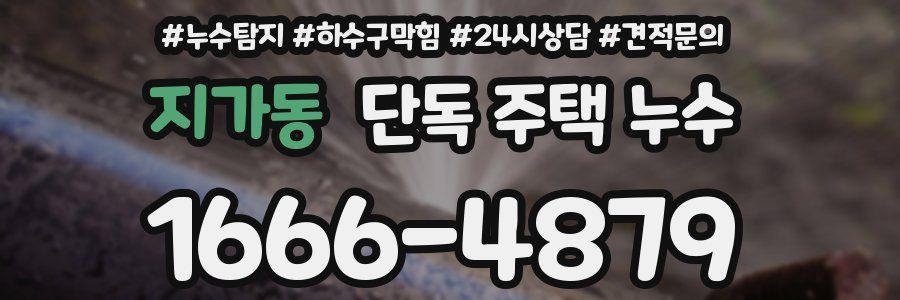 지가동 단독 주택 누수