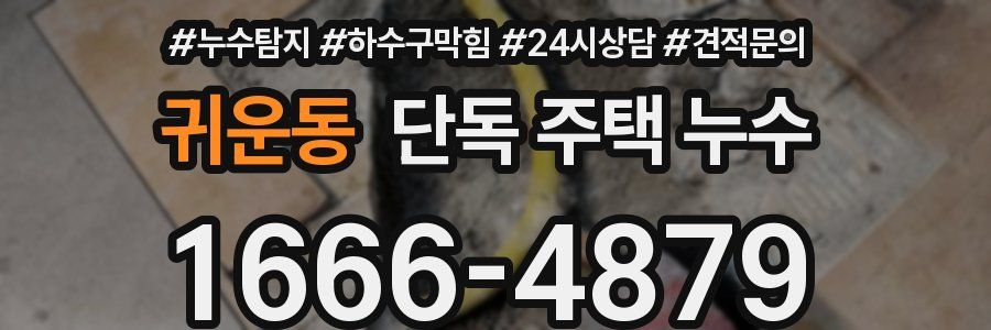 귀운동 단독 주택 누수