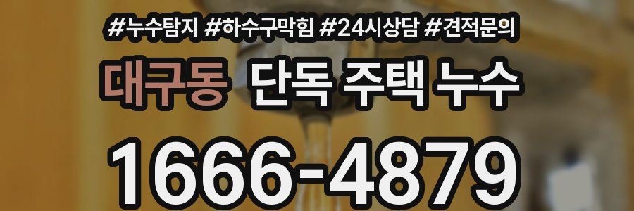 대구동 단독 주택 누수
