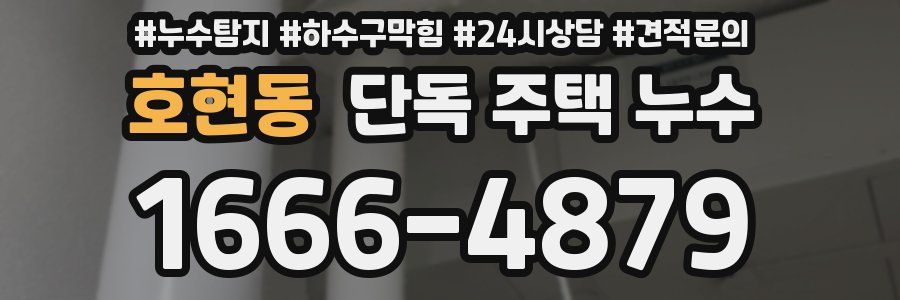 호현동 단독 주택 누수