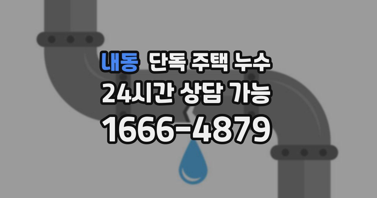 내동 단독 주택 누수