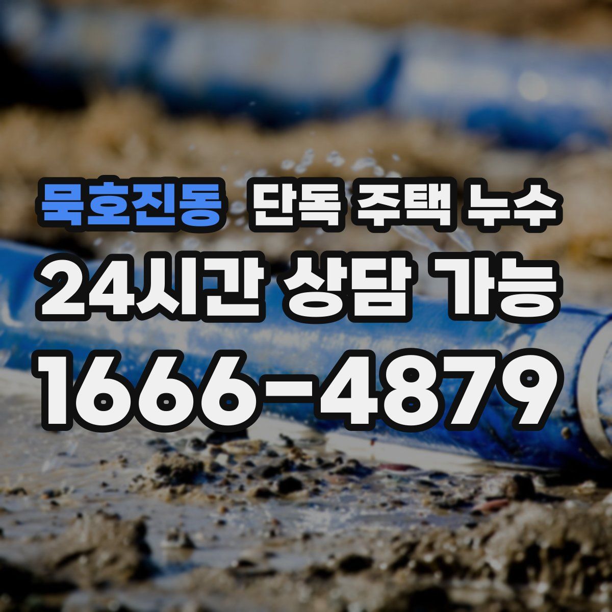 묵호진동 단독 주택 누수