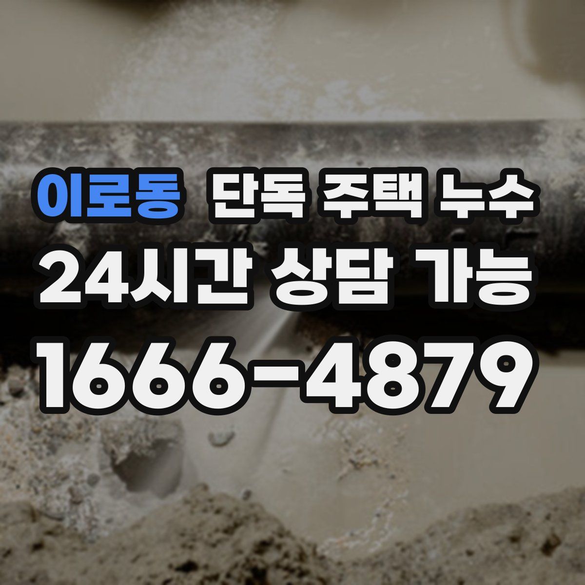 이로동 단독 주택 누수