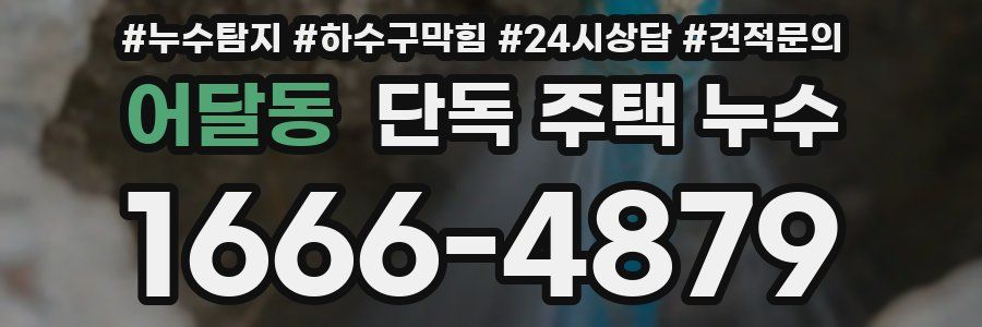 어달동 단독 주택 누수