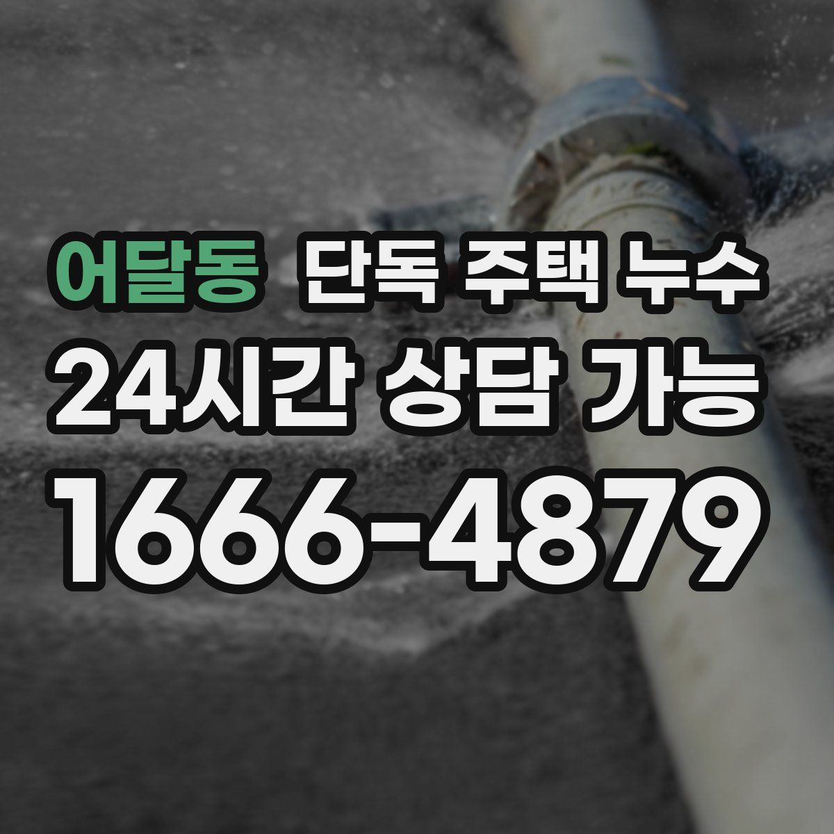 어달동 단독 주택 누수