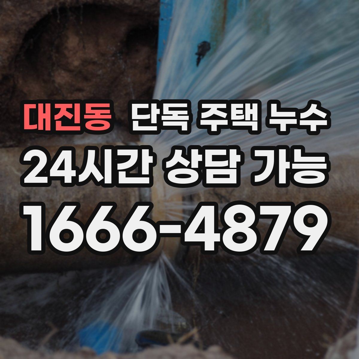 대진동 단독 주택 누수 샤워부스 하부에서 물이 스며들 때