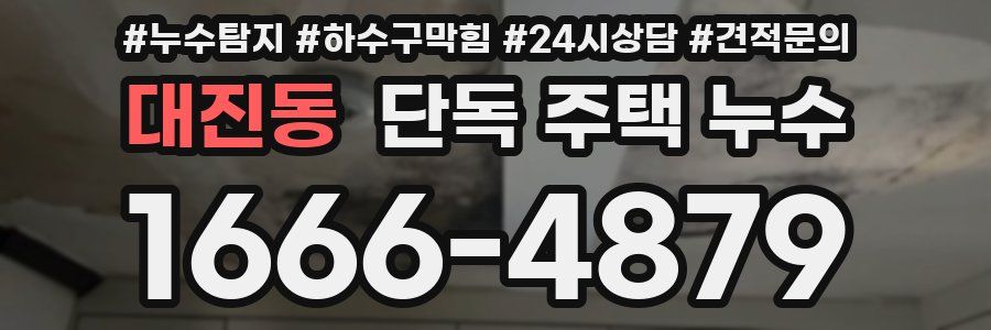 대진동 단독 주택 누수
