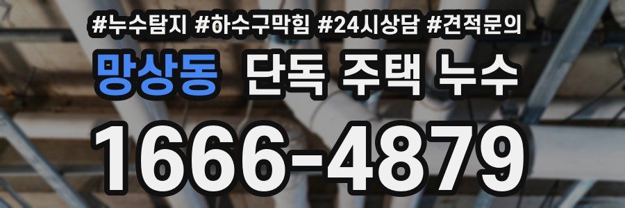 망상동 단독 주택 누수