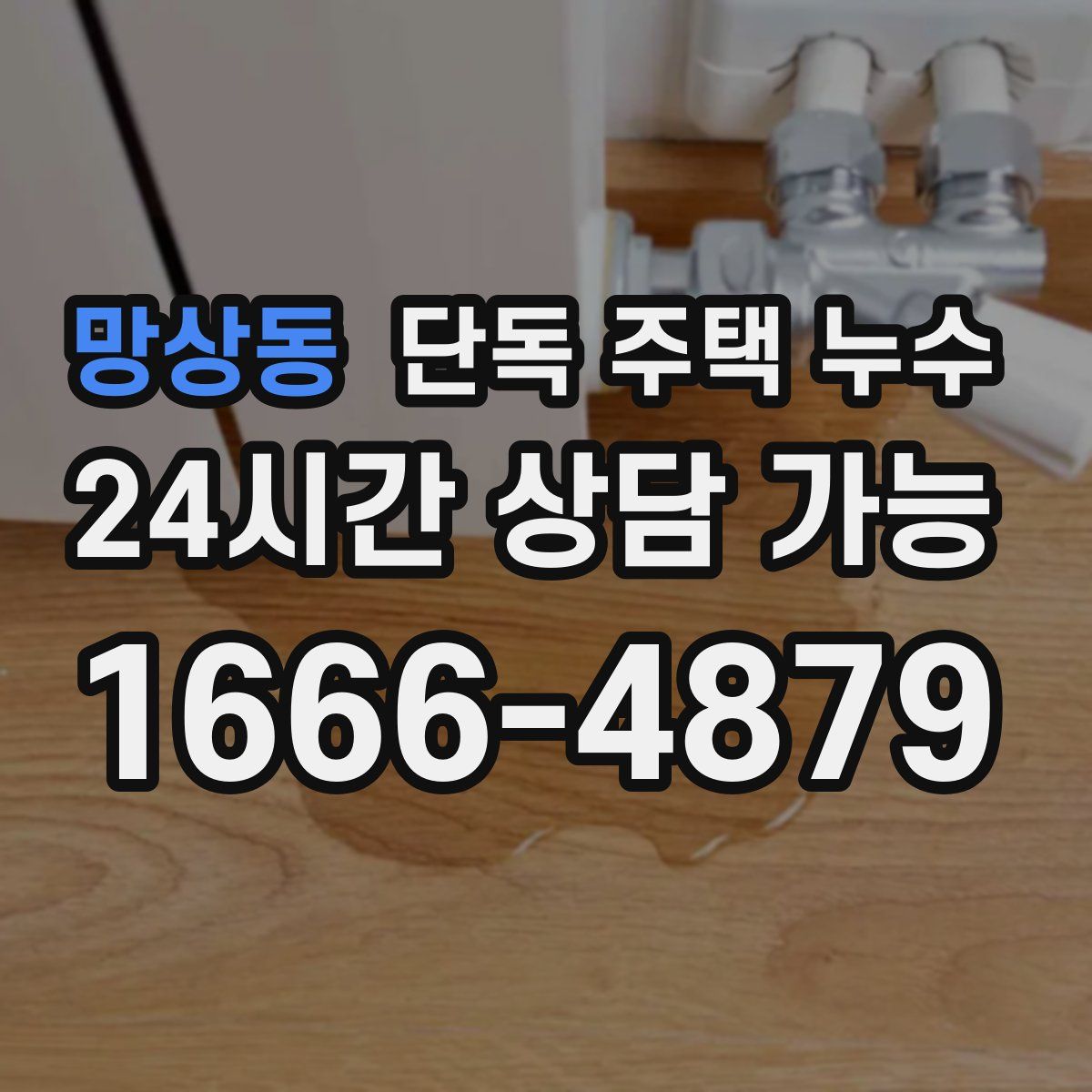 망상동 단독 주택 누수