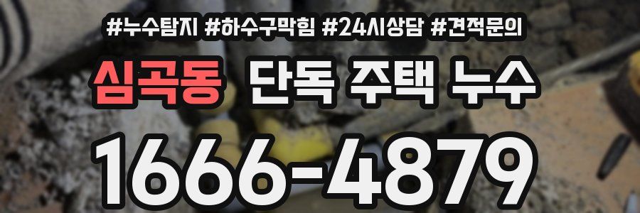 심곡동 단독 주택 누수