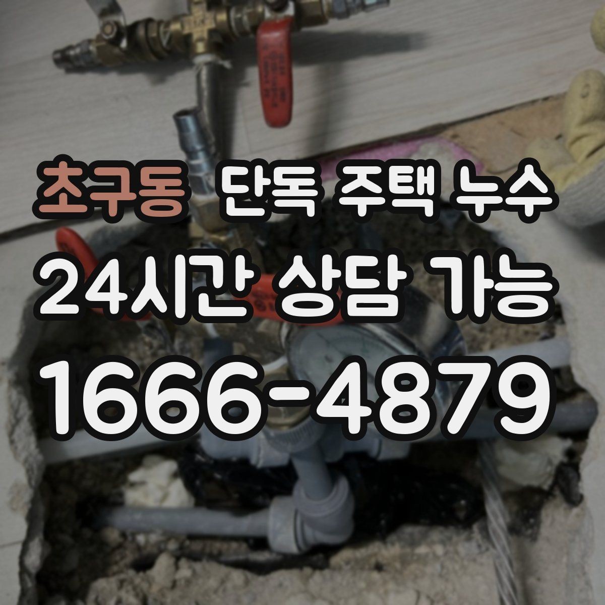 초구동 단독 주택 누수 천장 누수로 조명이 깜빡일 때 위험 신호
