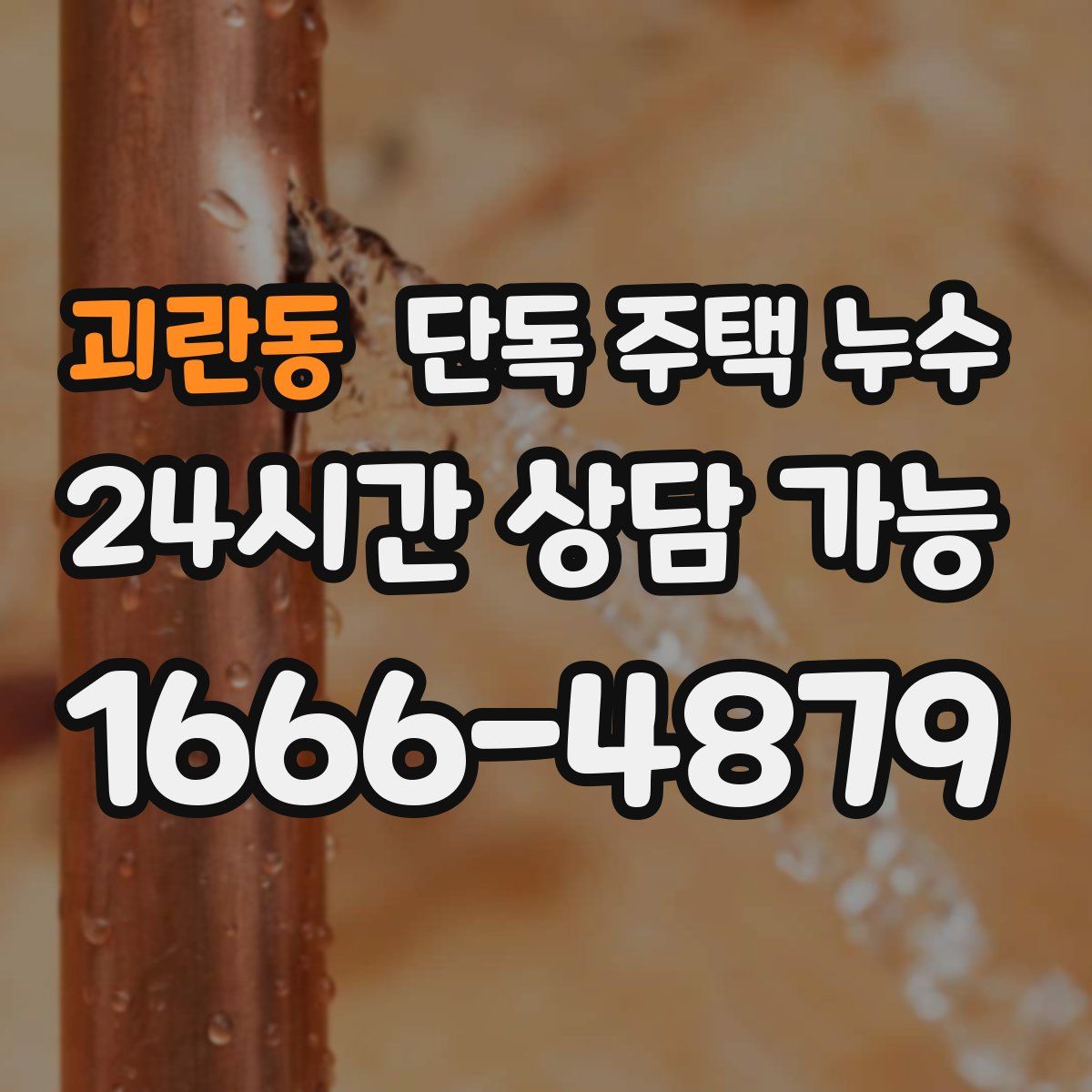 괴란동 단독 주택 누수