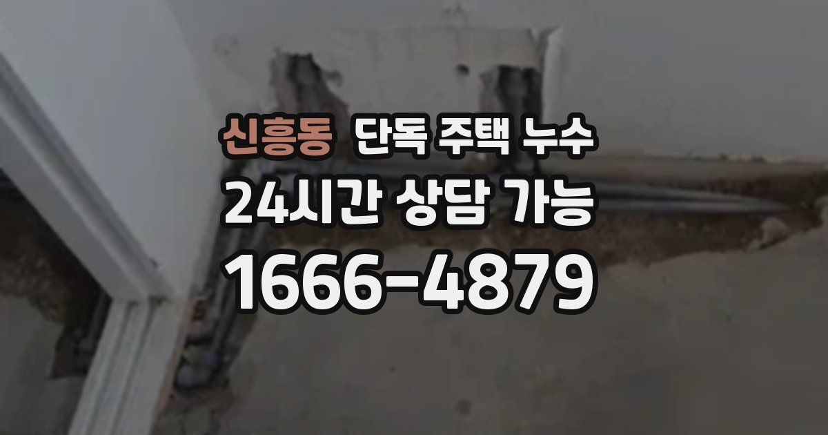 신흥동 단독 주택 누수