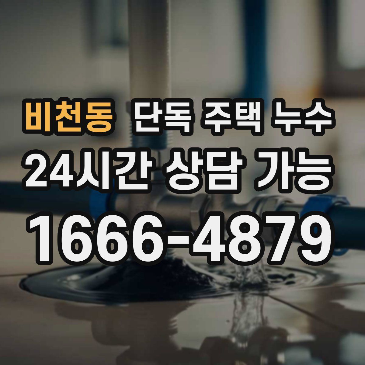 비천동 단독 주택 누수