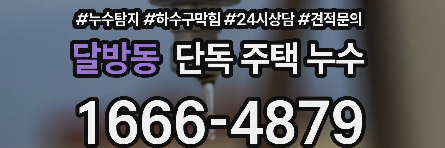 달방동 단독 주택 누수