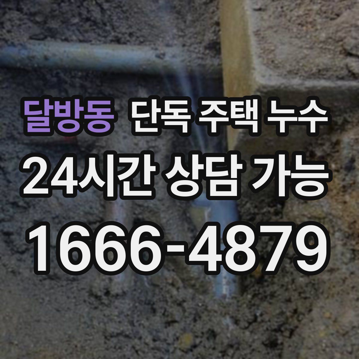 달방동 단독 주택 누수