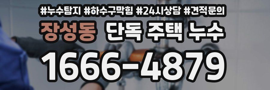 장성동 단독 주택 누수