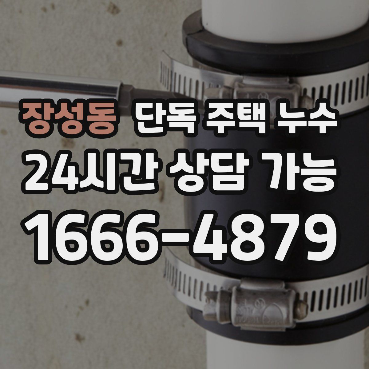 장성동 단독 주택 누수