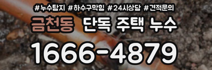 금천동 단독 주택 누수