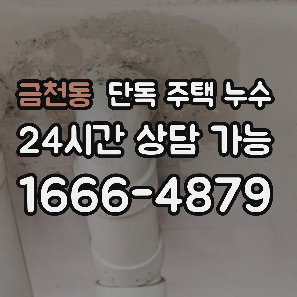 금천동 단독 주택 누수