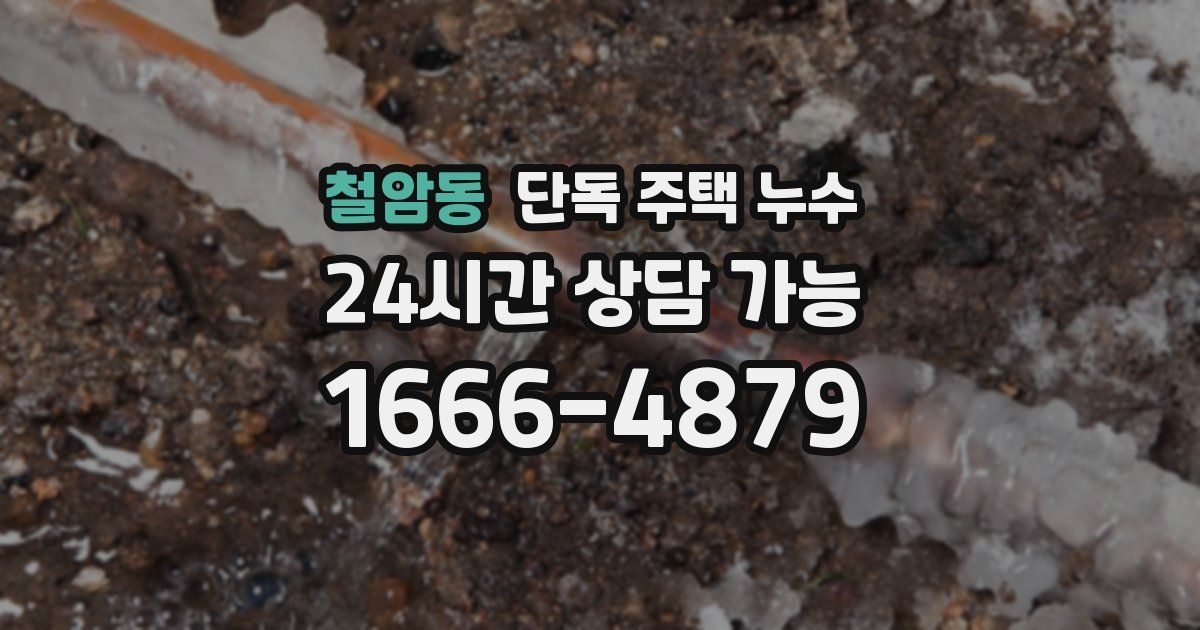 철암동 단독 주택 누수