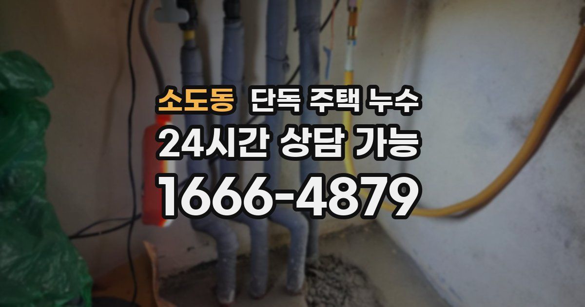 소도동 단독 주택 누수