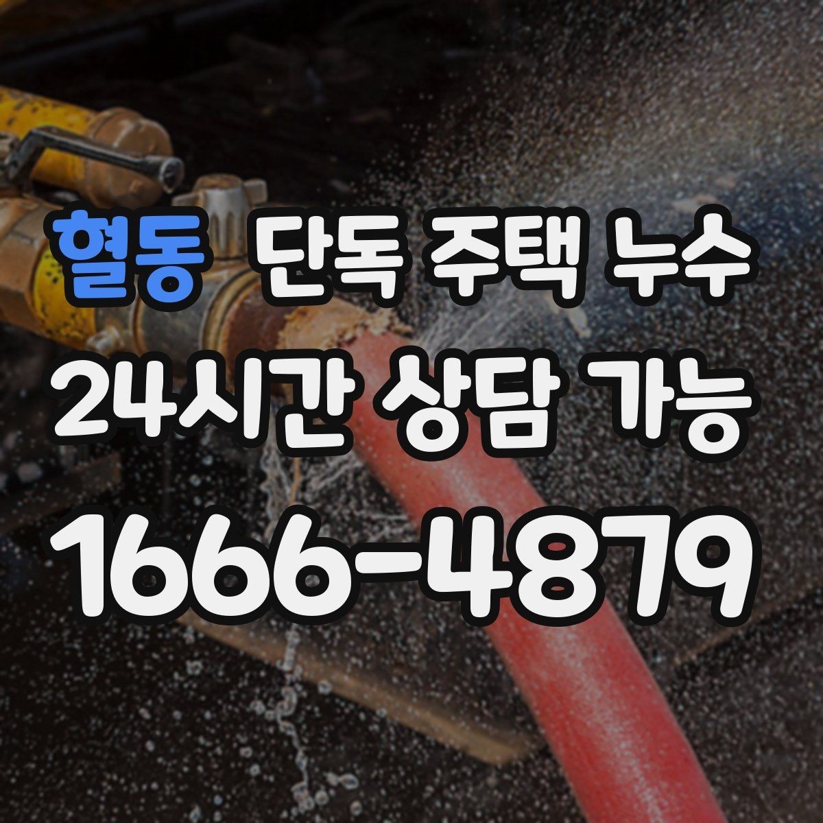 혈동 단독 주택 누수 코킹만으로 해결 안 되는 사례