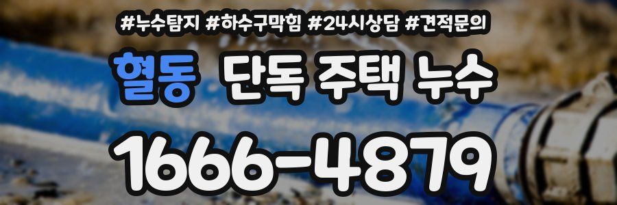 혈동 단독 주택 누수