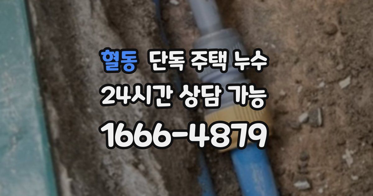 혈동 단독 주택 누수