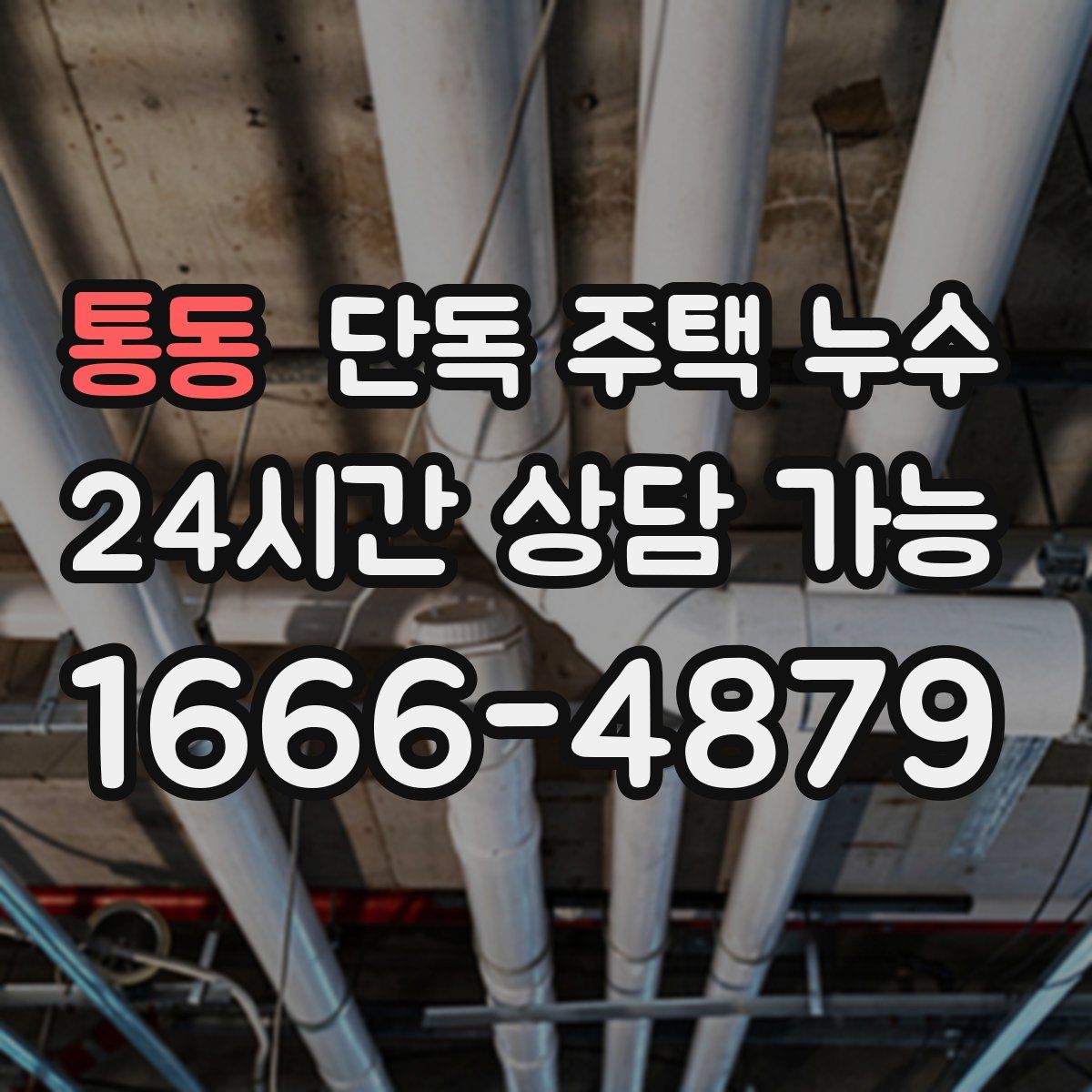 통동 단독 주택 누수