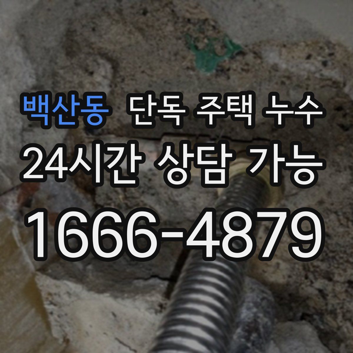 백산동 단독 주택 누수