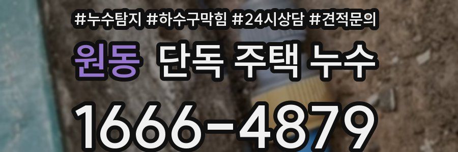 원동 단독 주택 누수