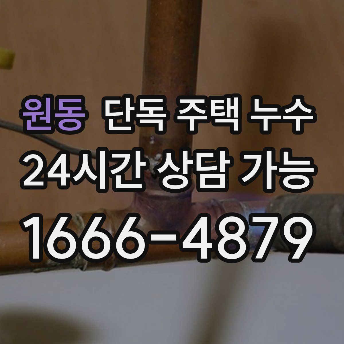 원동 단독 주택 누수