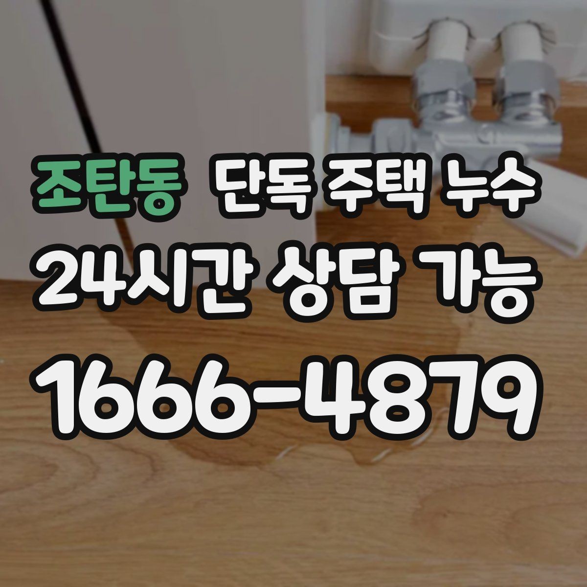 조탄동 단독 주택 누수 마당 물 고임이 실내로 연결되는 이유