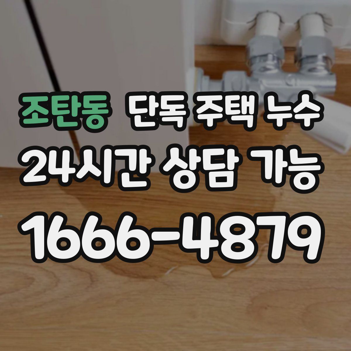 조탄동 단독 주택 누수