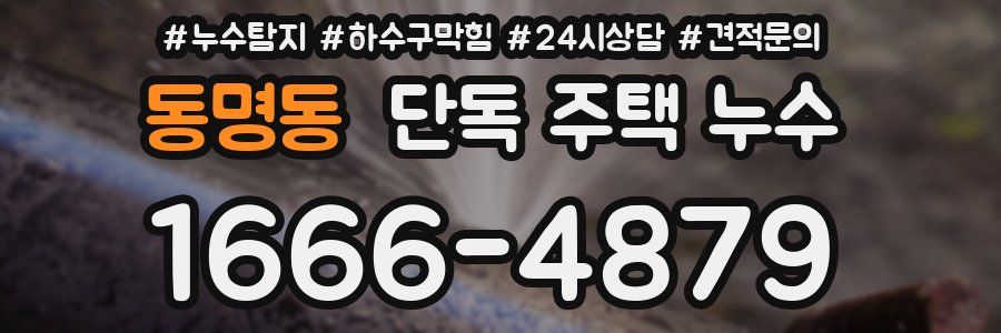 동명동 단독 주택 누수