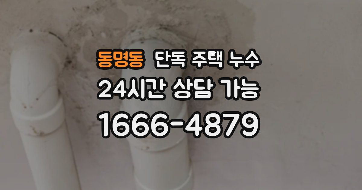 동명동 단독 주택 누수