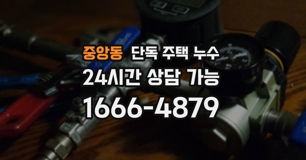 중앙동 단독 주택 누수