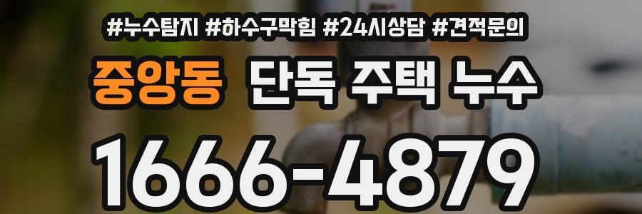 중앙동 단독 주택 누수