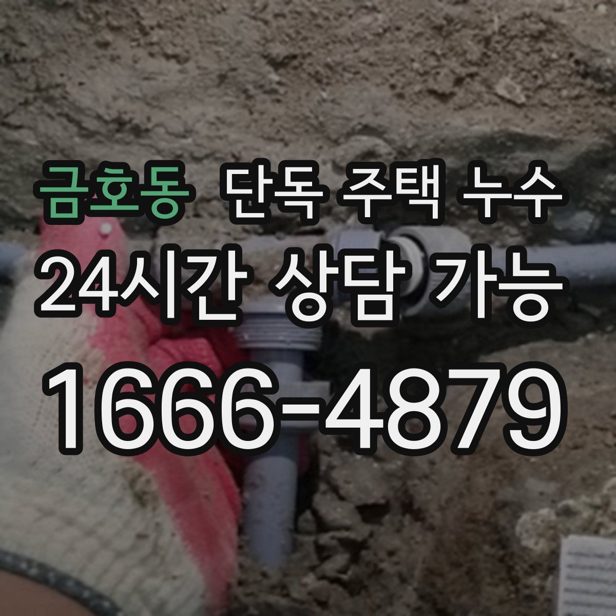 금호동 단독 주택 누수