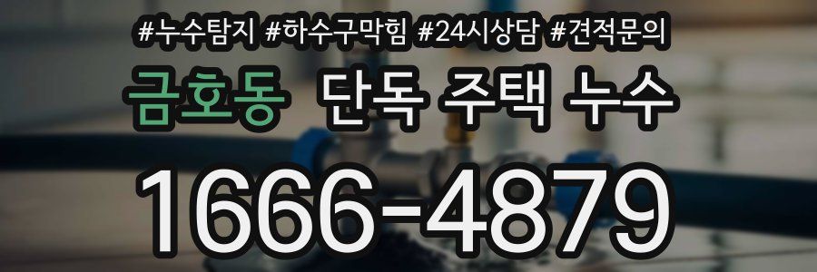 금호동 단독 주택 누수