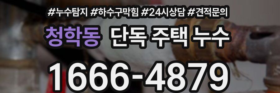 청학동 단독 주택 누수