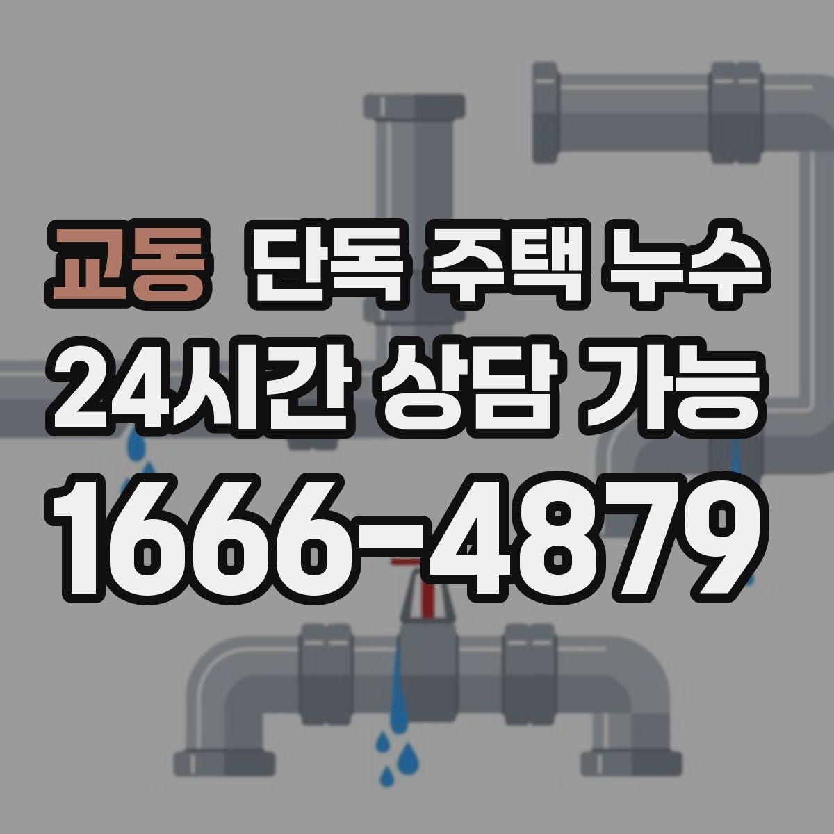 교동 단독 주택 누수 가구 뒤 벽이 젖는다면 주의